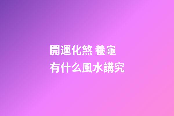 開運化煞 養龜有什么風水講究